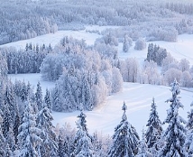 Зима — Вікіпедія